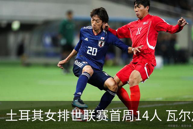 土耳其女排世联赛首周14人 瓦尔加斯领衔艾达缺席