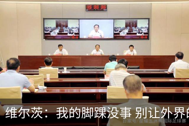 维尔茨：我的脚踝没事 别让外界的“议论风”扰了我